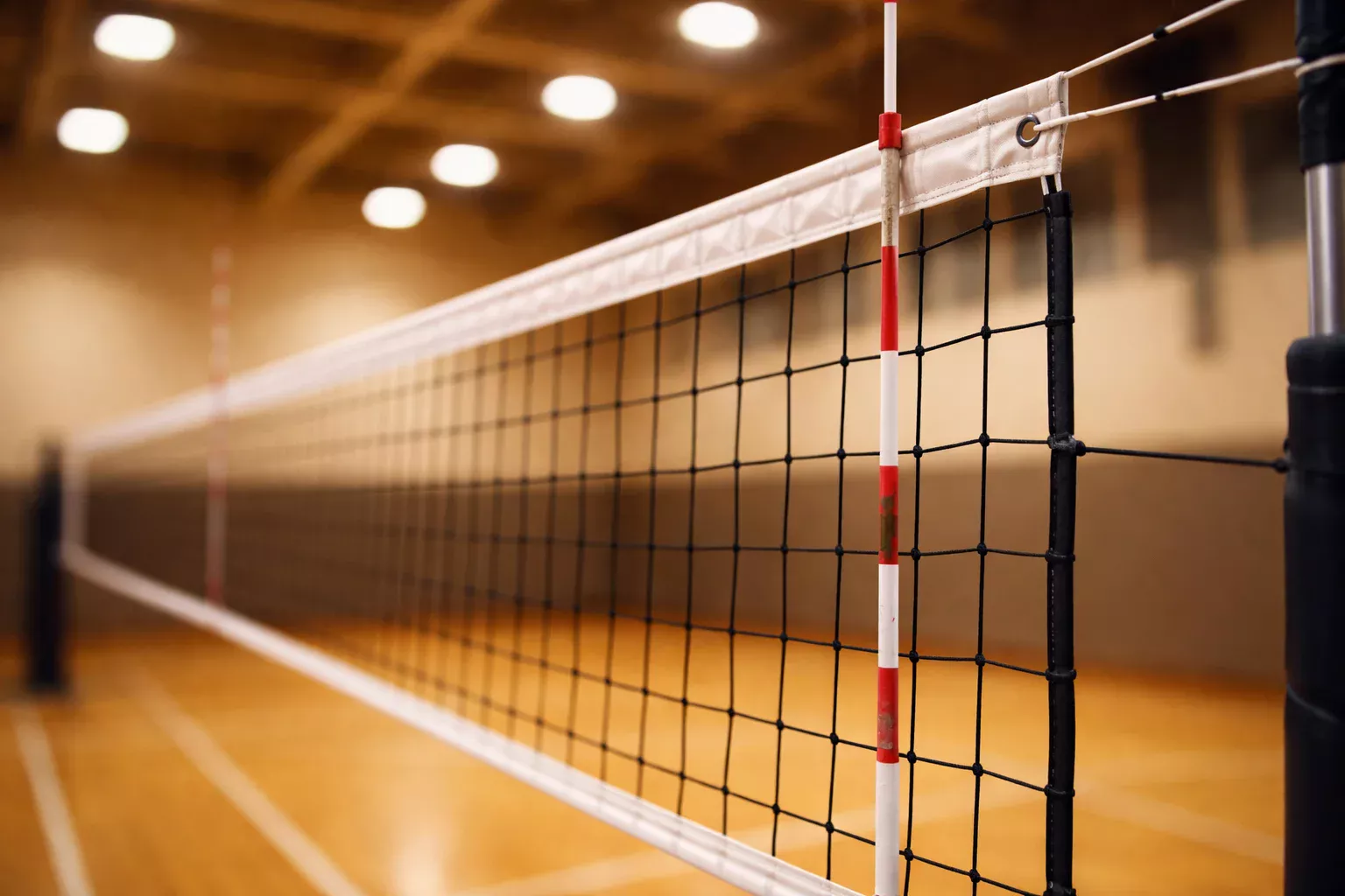volleyball-wetten-vs-andere-sportarten